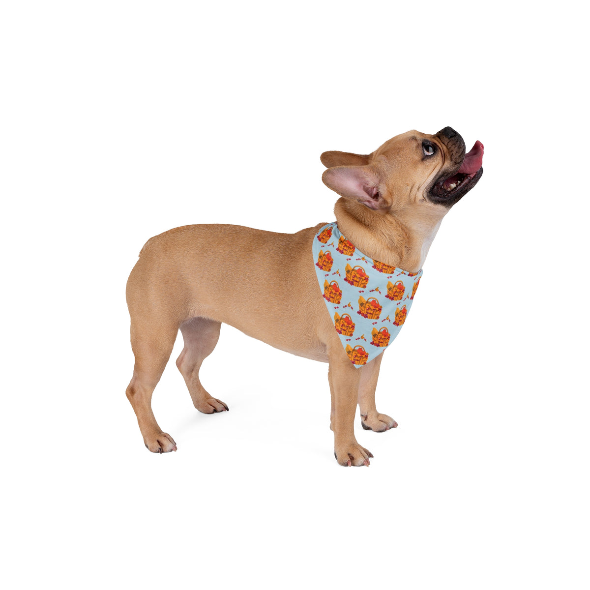 Thanksgiving Dog Bandana – Harvest Baskets – photo 4