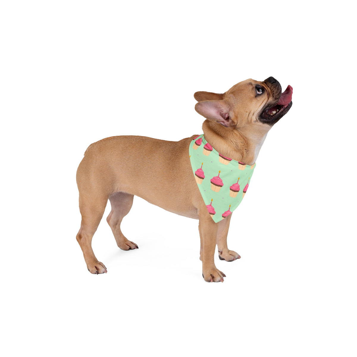 Dog Birthday Bandana – Cupcakes and Confetti – photo 4