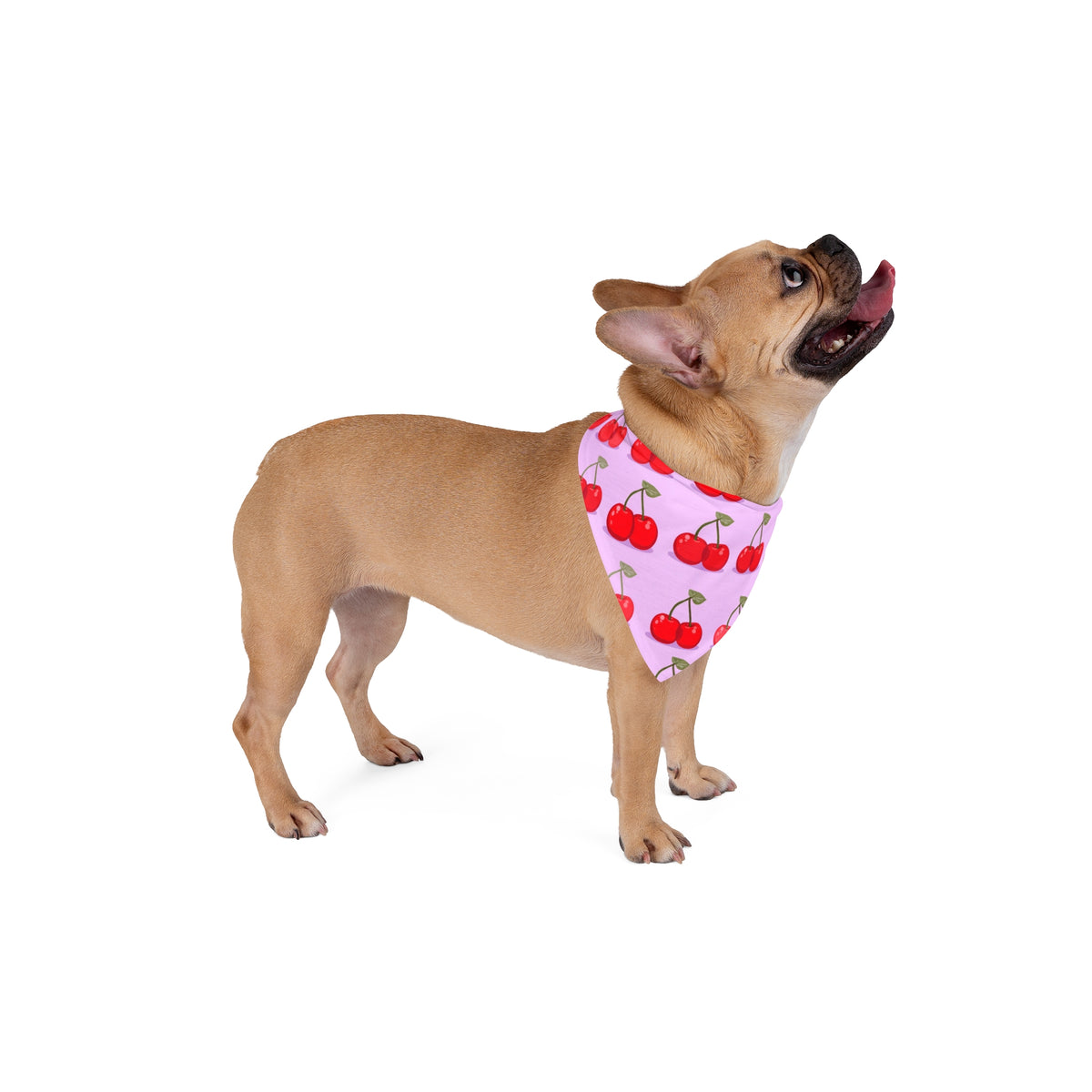 Big Sister Dog Bandana – Red Cherries – photo 4