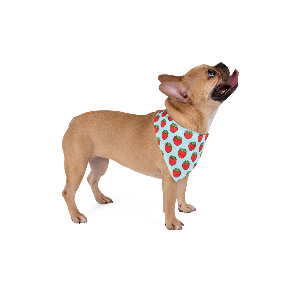 Big Sister Dog Bandana – Strawberries – photo 4