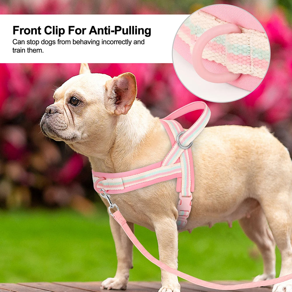 Anti Pull Pet Harnesses for Small Dogs