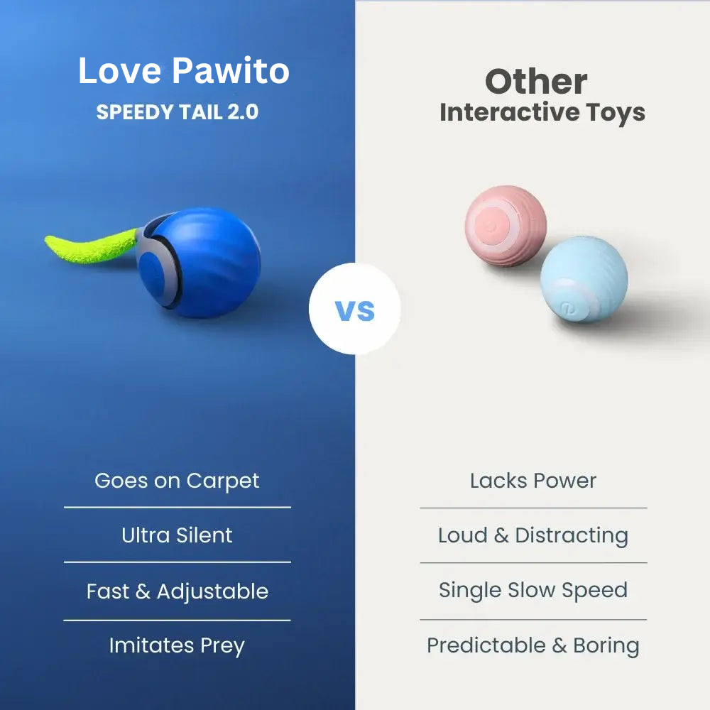 Speedy Tail 2.0 | Interactive Cat Toy Ball better than other interactive toys