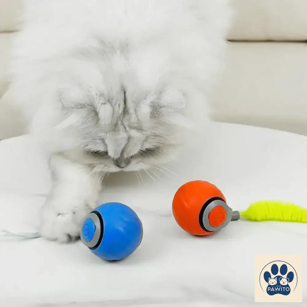 Speedy Tail 2.0 | Interactive Cat Toy Ball two colors to choose from