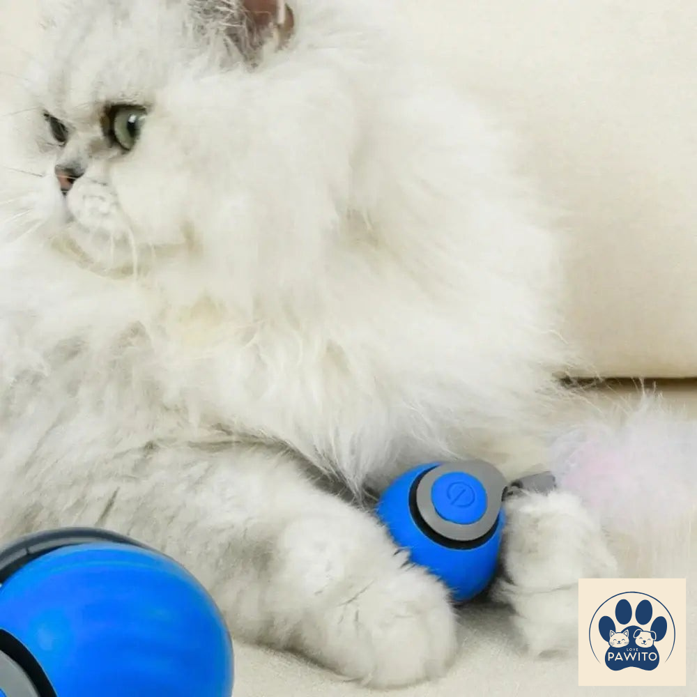 Speedy Tail 2.0 | Interactive Cat Toy Ball cats love the toy