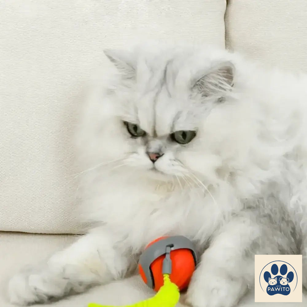 Speedy Tail 2.0 | Interactive Cat Toy Ball cats love toy ball