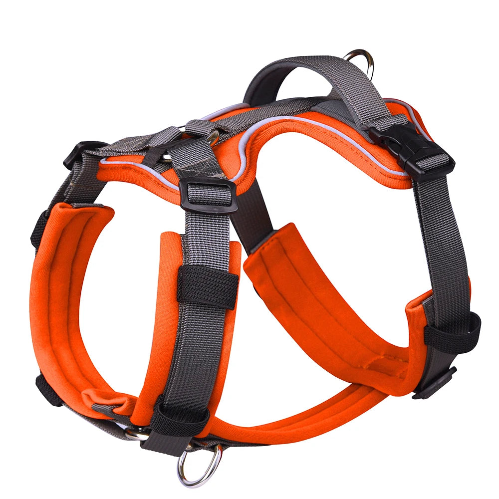 best large no pull dog harness orange color