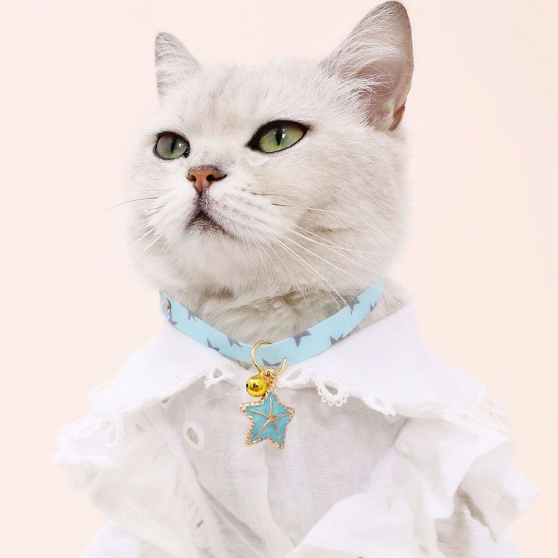 White cat wearing a light blue cat collar with star charm