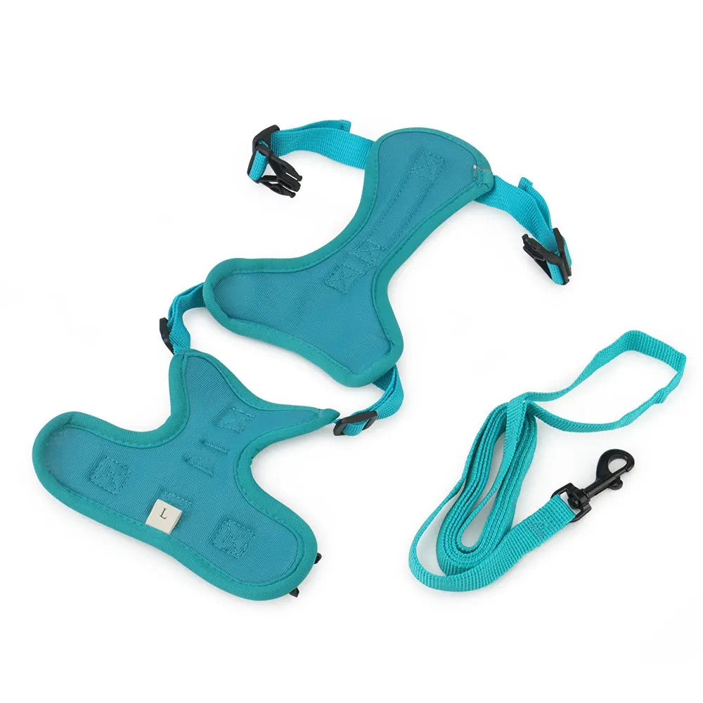 Teal harness laid flat with its matching leash