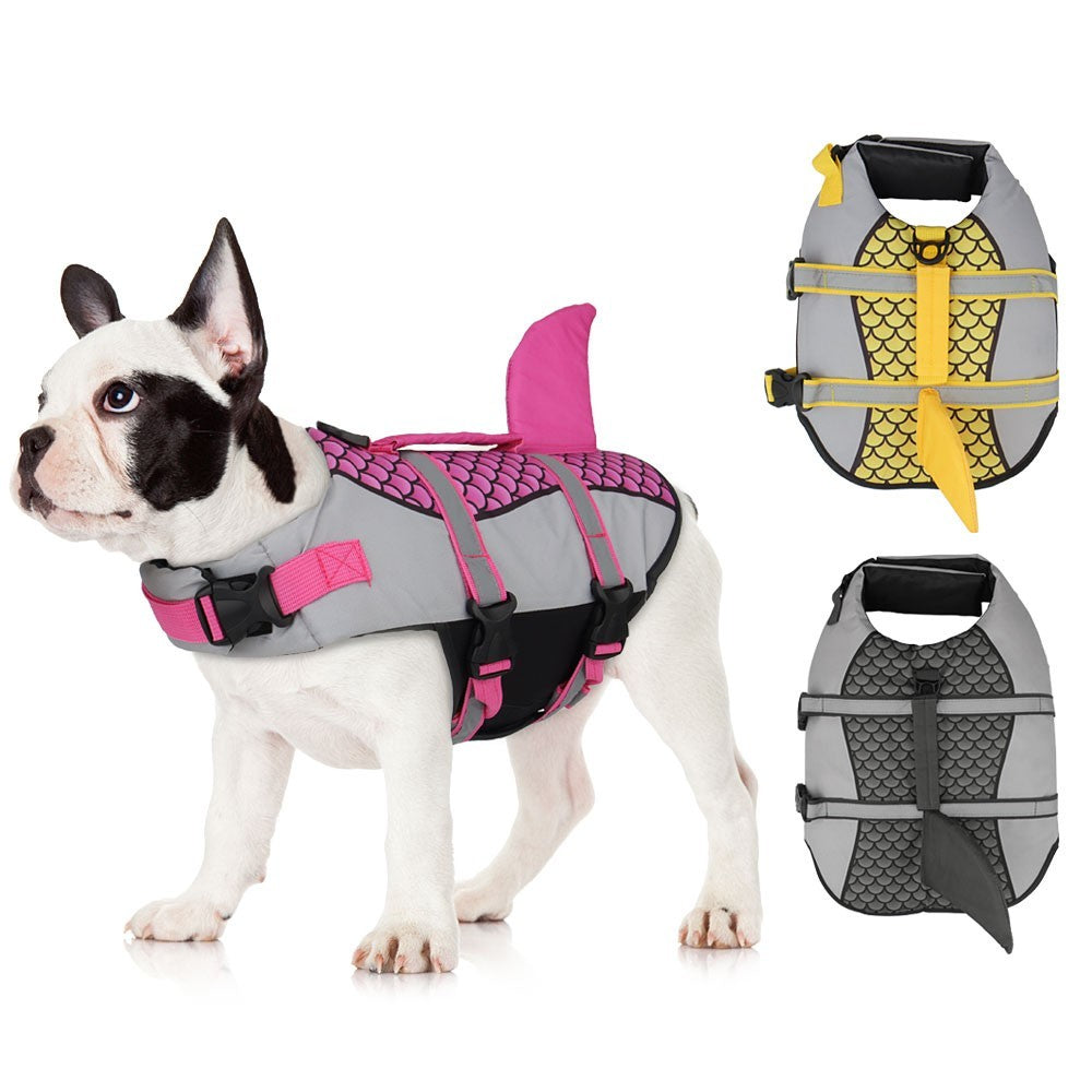 French bulldog wearing the yellow and gray shark dog life jacket