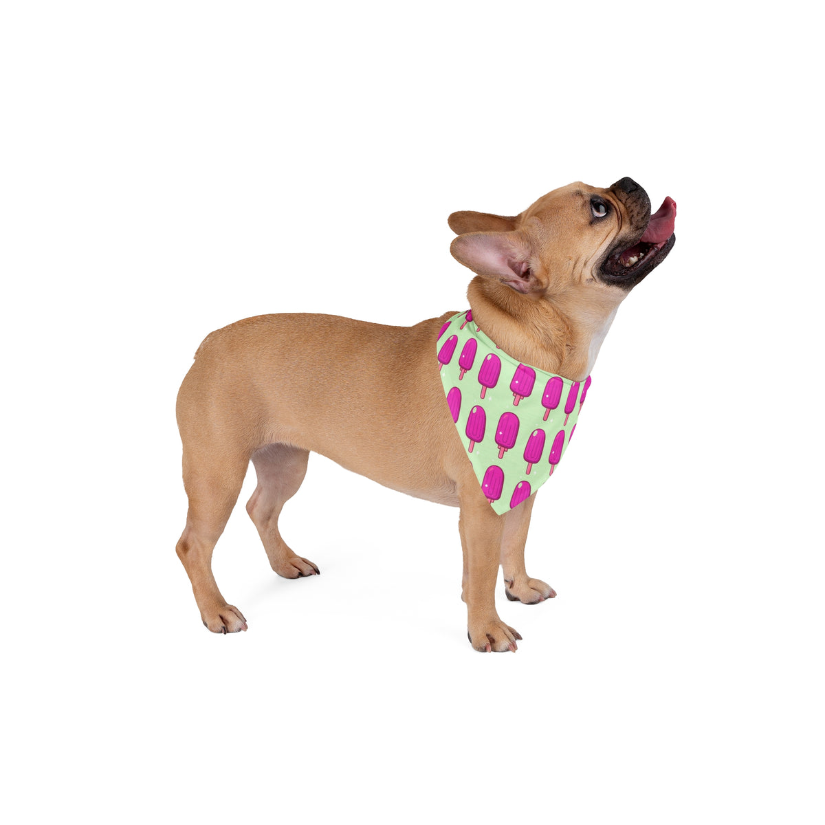 Big Sister Dog Bandana – Pink Popsicles – photo 4