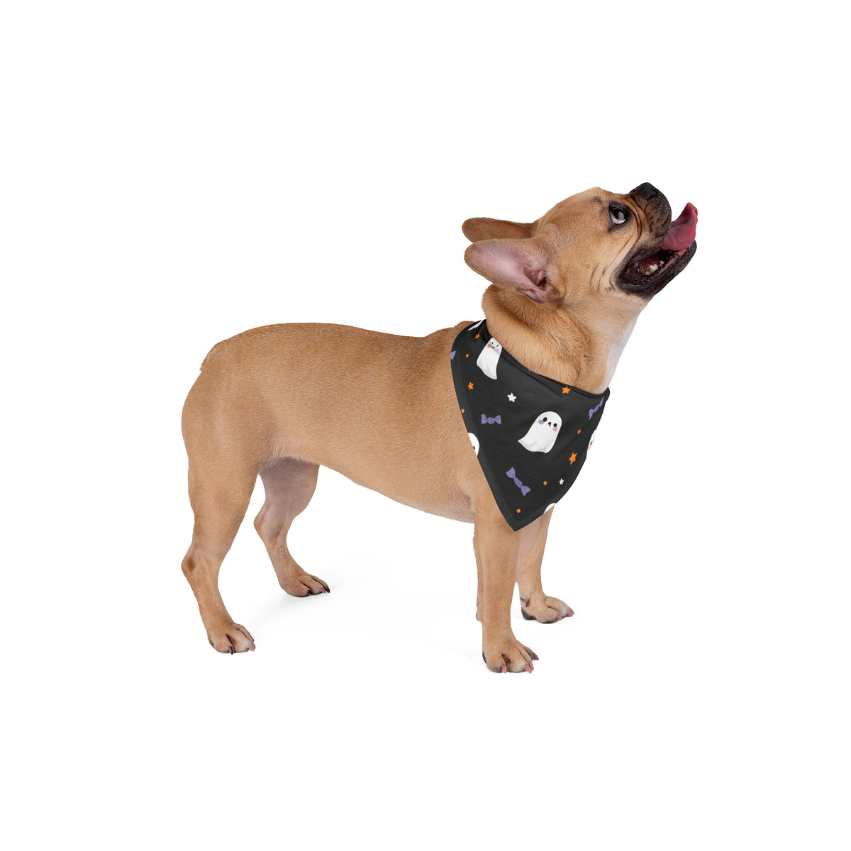 Halloween Bandana Dog – Ghosts, Stars and Candy