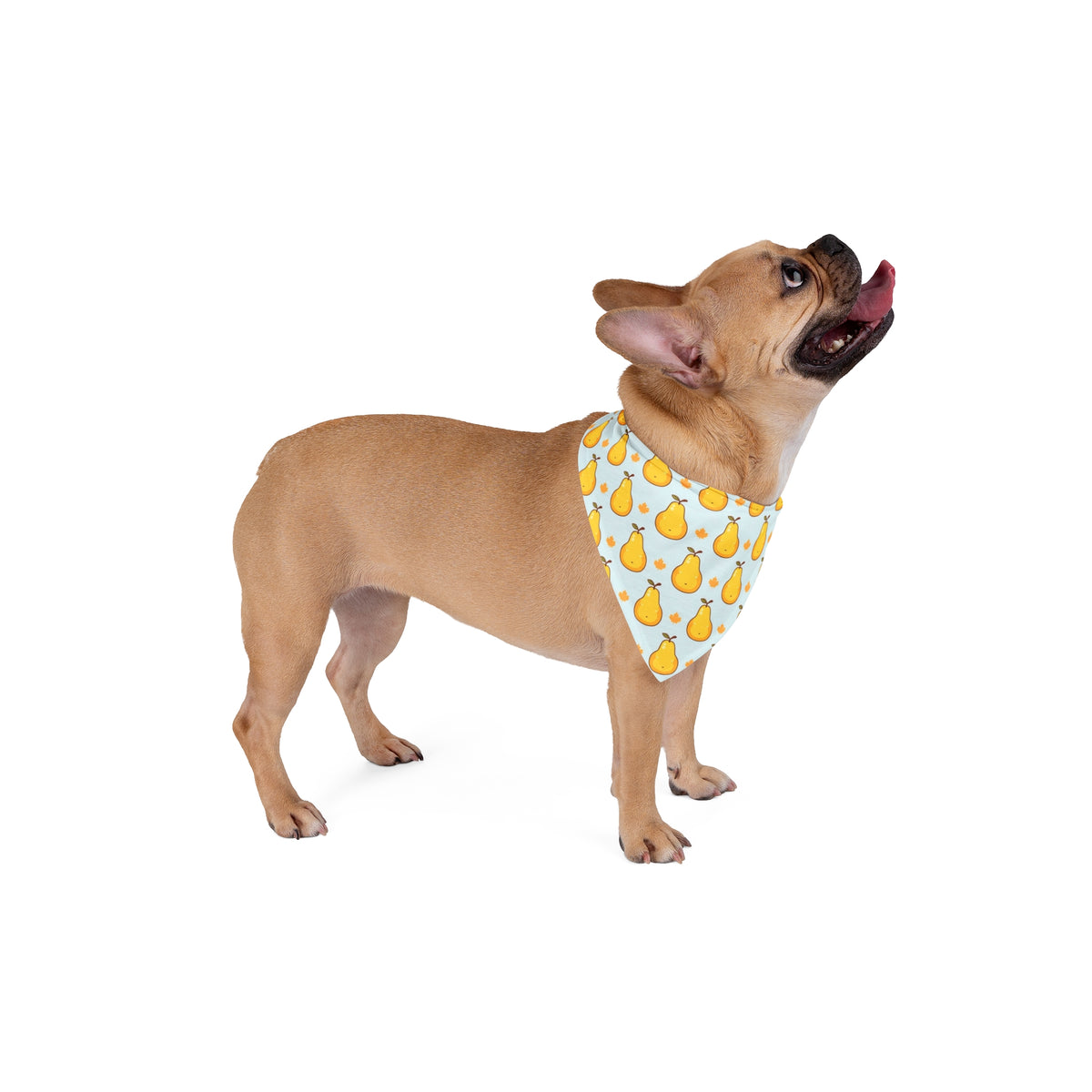 Fall Dog Bandana – Golden Pears and Maple Leaves – photo 4