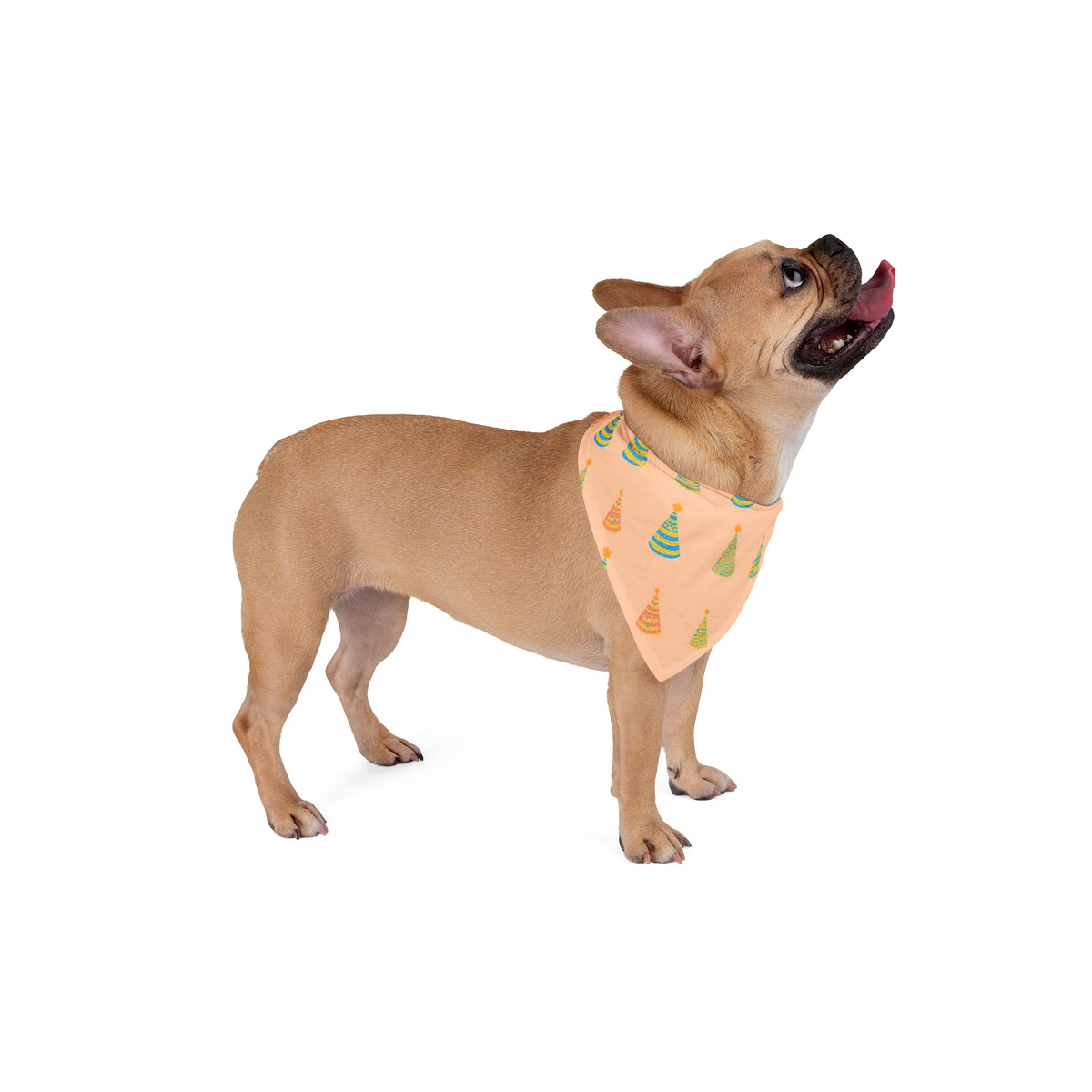 Dog Birthday Bandana – Party Hats – photo 4