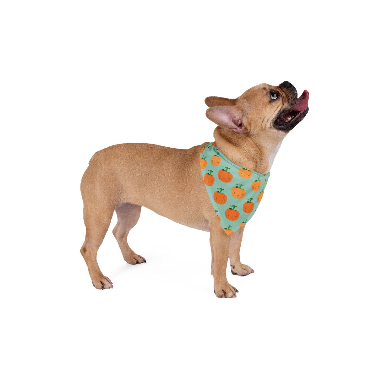Thanksgiving Dog Bandana – Pumpkins and Sunflowers – photo 4