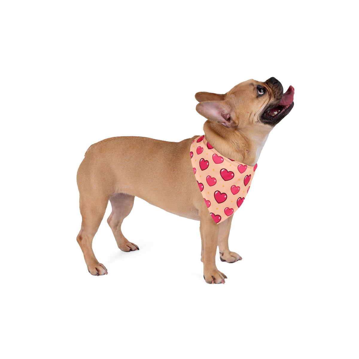 Big Sister Dog Bandana – Pink Hearts and Stars – photo 4