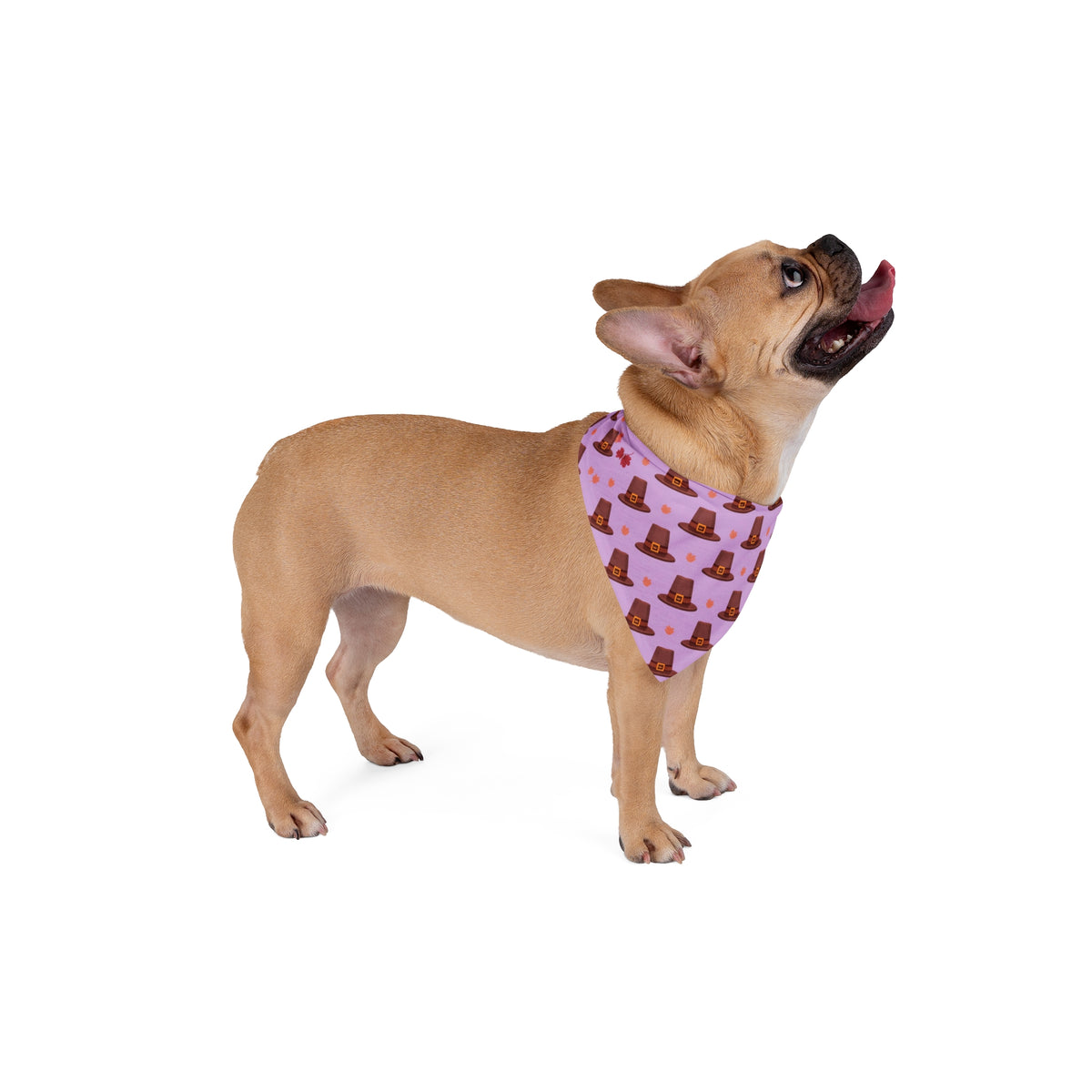 Thanksgiving Dog Bandana – Pilgrim Hats and Leaves – photo 4
