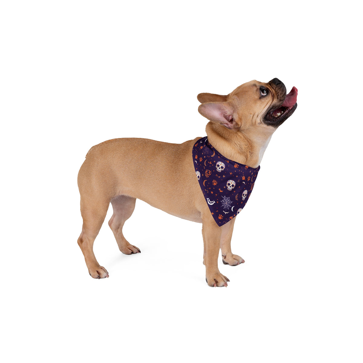 Dog Halloween Bandana – Midnight Howl Skulls and Bats