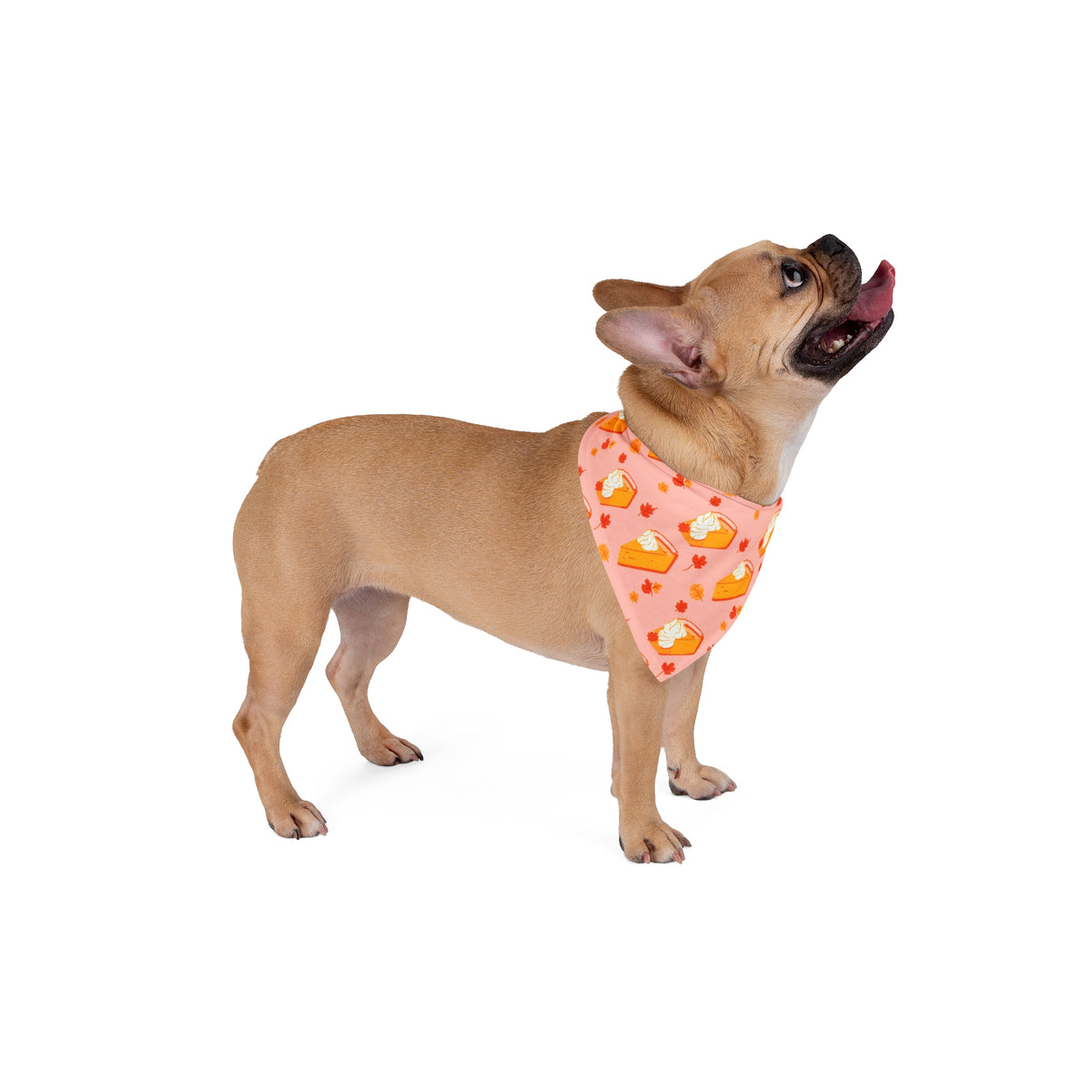 Thanksgiving Dog Bandana – Pumpkin Pie and Autumn Leaves – photo 4