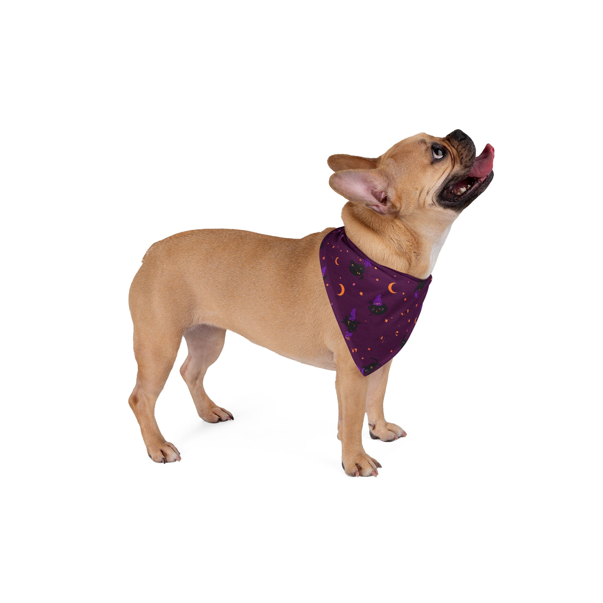 Dog Bandana Halloween – Black Cats and Witch Hats