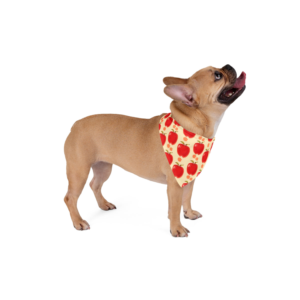 Fall Dog Bandana – Red Apples – photo 4