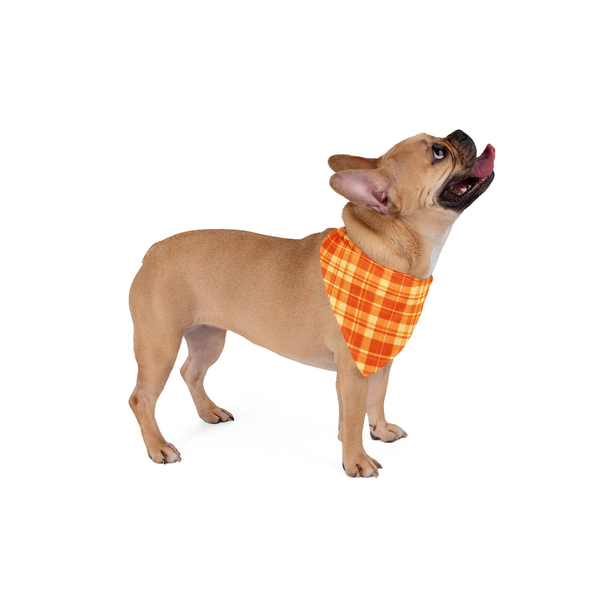Fall Dog Bandana – Orange Flannel Plaid – photo 4