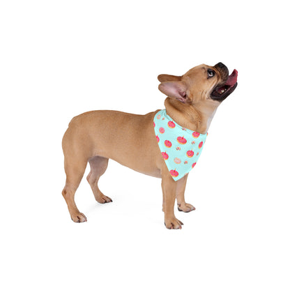 Dog Birthday Bandana – Sprinkle Donuts – photo 4