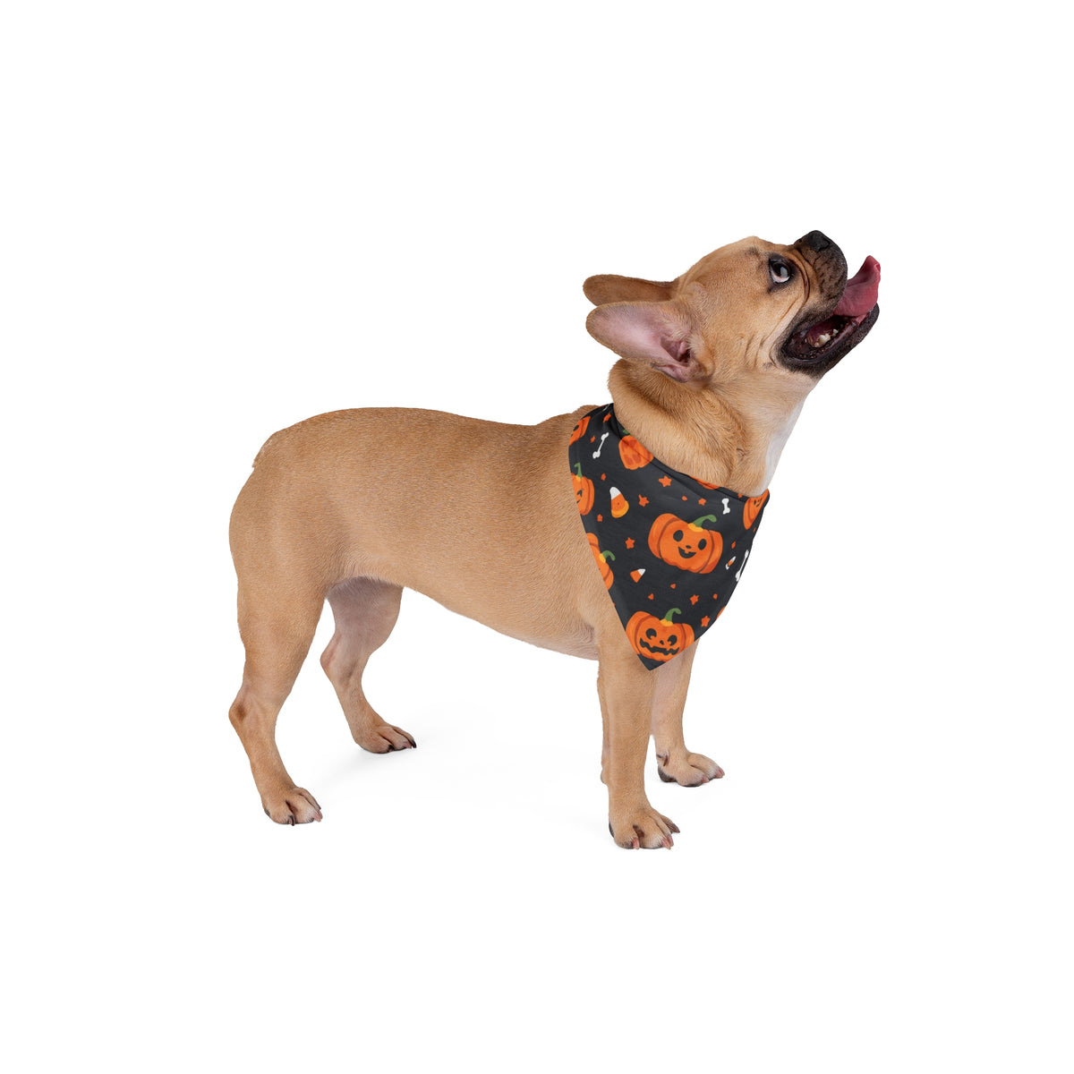 Halloween Dog Bandana