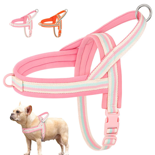 Adjustable, Soft No Pull Pet Harnesses for Small Dogs & Cats