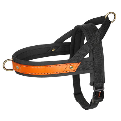 Black Padded Nylon No Pull Dog Harness with Handle