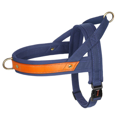 Blue Color Padded Nylon No Pull Dog Harness with Handle
