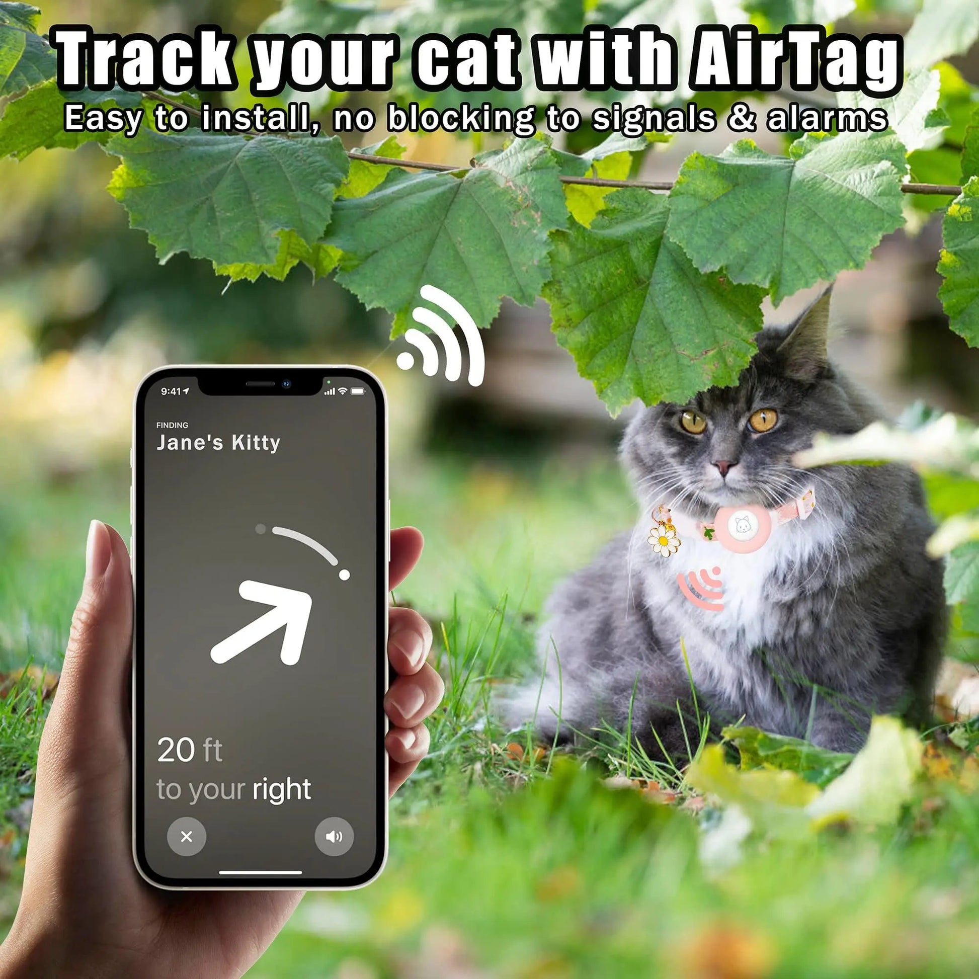 Breakaway Kitten Collar with AirTag Holder