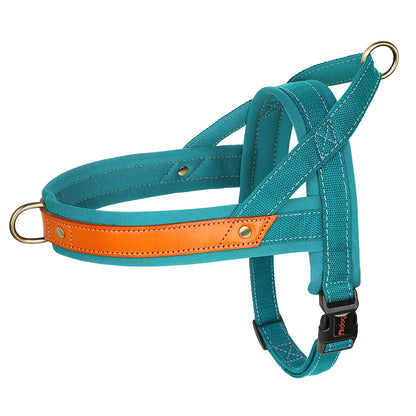 Cyan Color Padded Nylon No Pull Dog Harness with Handle