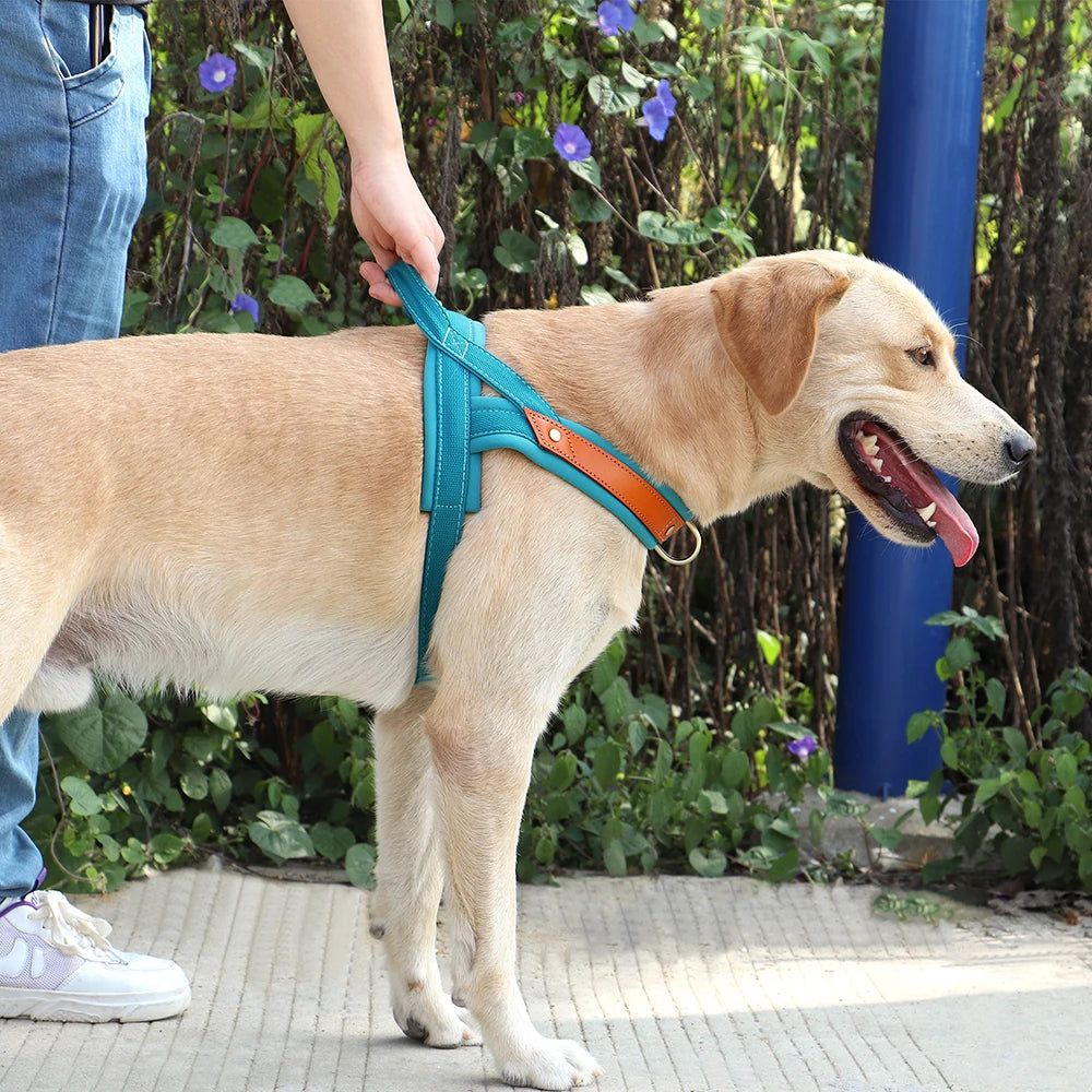 Dog Vest Harness Outdoor Padded Pet Strap Harnesses