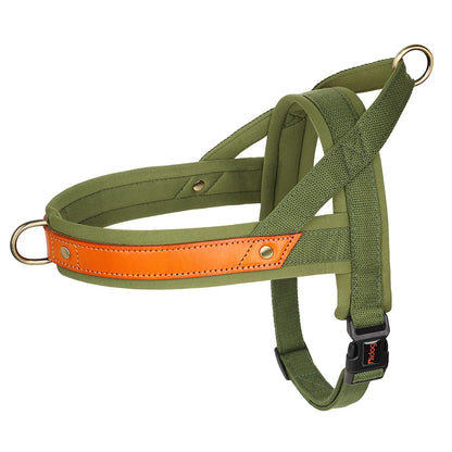 Green Padded Nylon No Pull Dog Harness with Handle