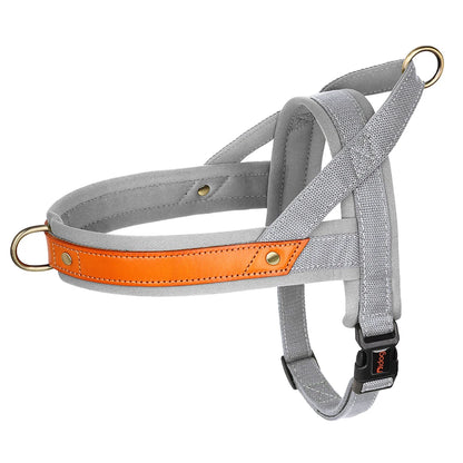 Grey Padded Nylon No Pull Dog Harness with Handle