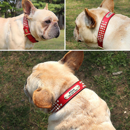 rhinestone dog collar