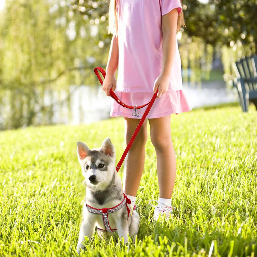 leather harness dog with leash set