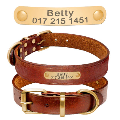 leather dog collar with name plate