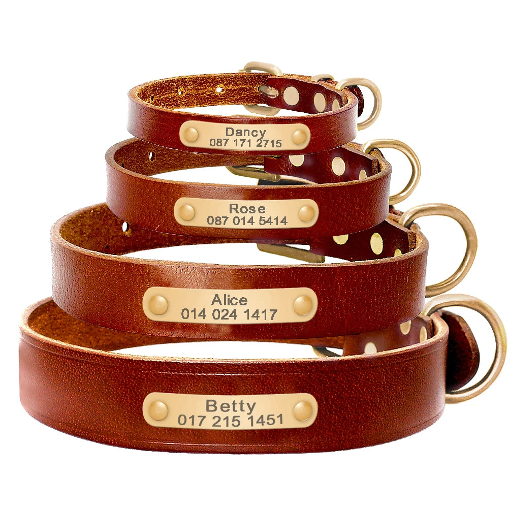 Brown Leather Dog Collar with Name Plate | Personalized Leather Dog Collar