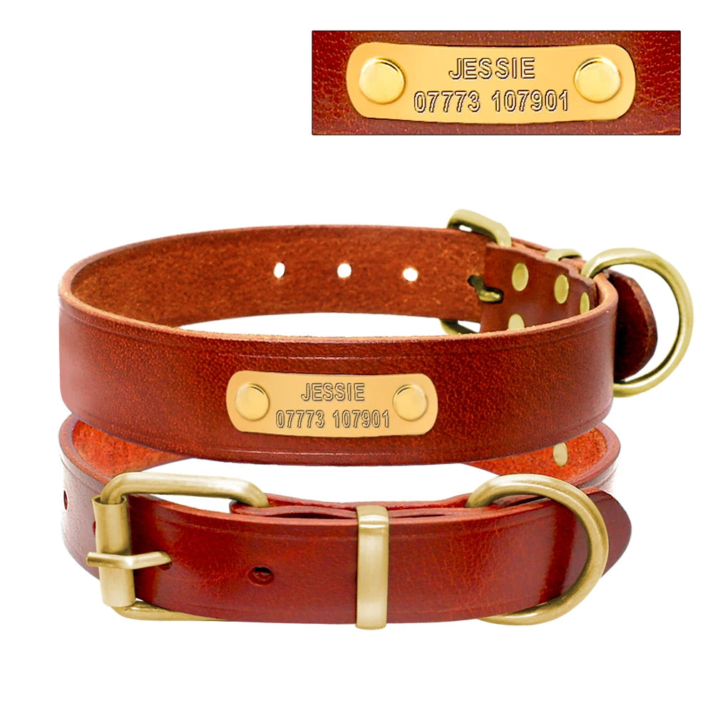 leather dog collar with name plate