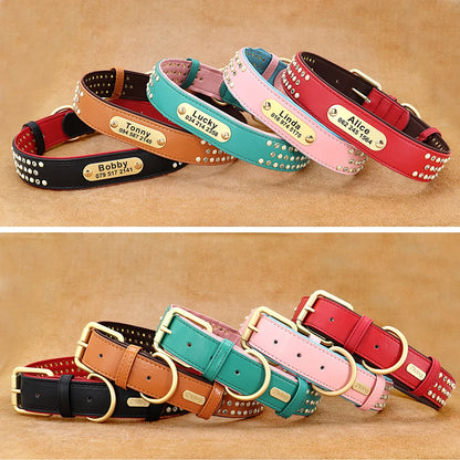 Leather Blink Dog Collars with Name Plate | rhinestone dog collar