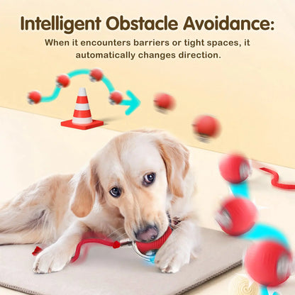 Interactive Cat Toy Ball for Cats automatically changes direction