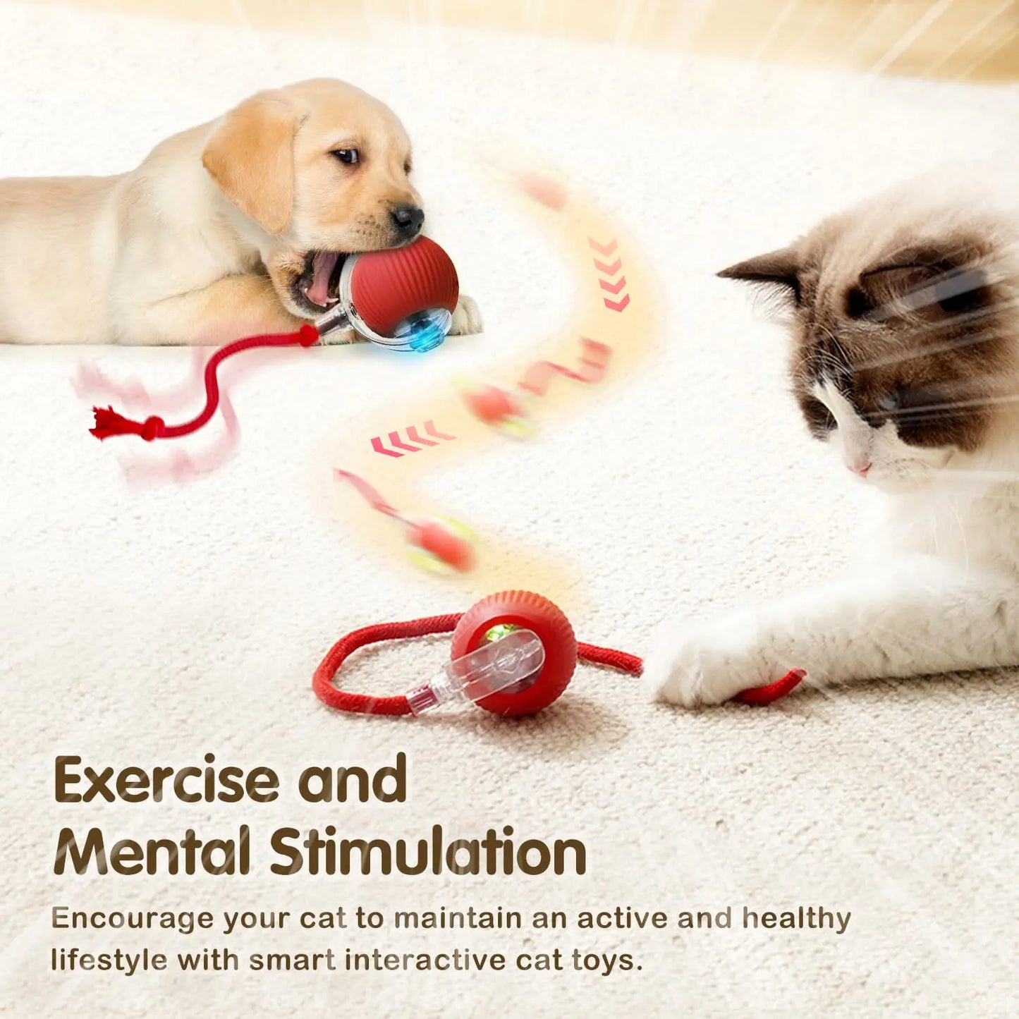 Interactive Cat Toy Ball for Cats for exercise mental stimulation