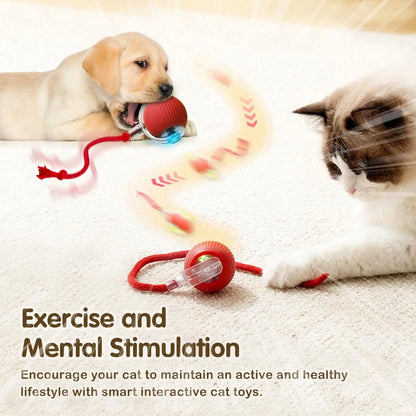 Interactive Cat Toy Ball for Cats for exercise mental stimulation