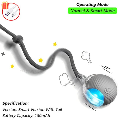 Interactive Cat Toy with tail grey color
