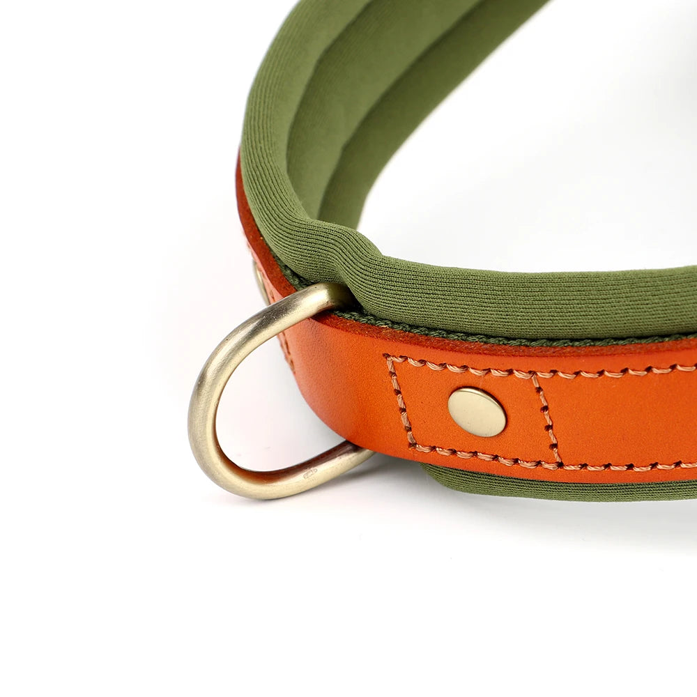 Padded No Pull Dog Harness with Handle (Nylon + Leather)