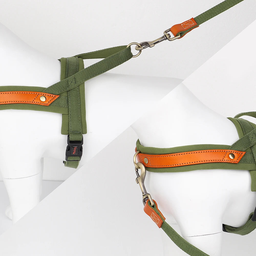 Padded No Pull Dog Harness with Handle (Nylon + Leather)