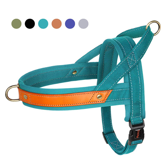 Padded No Pull Dog Harness with Handle (Nylon + Leather)