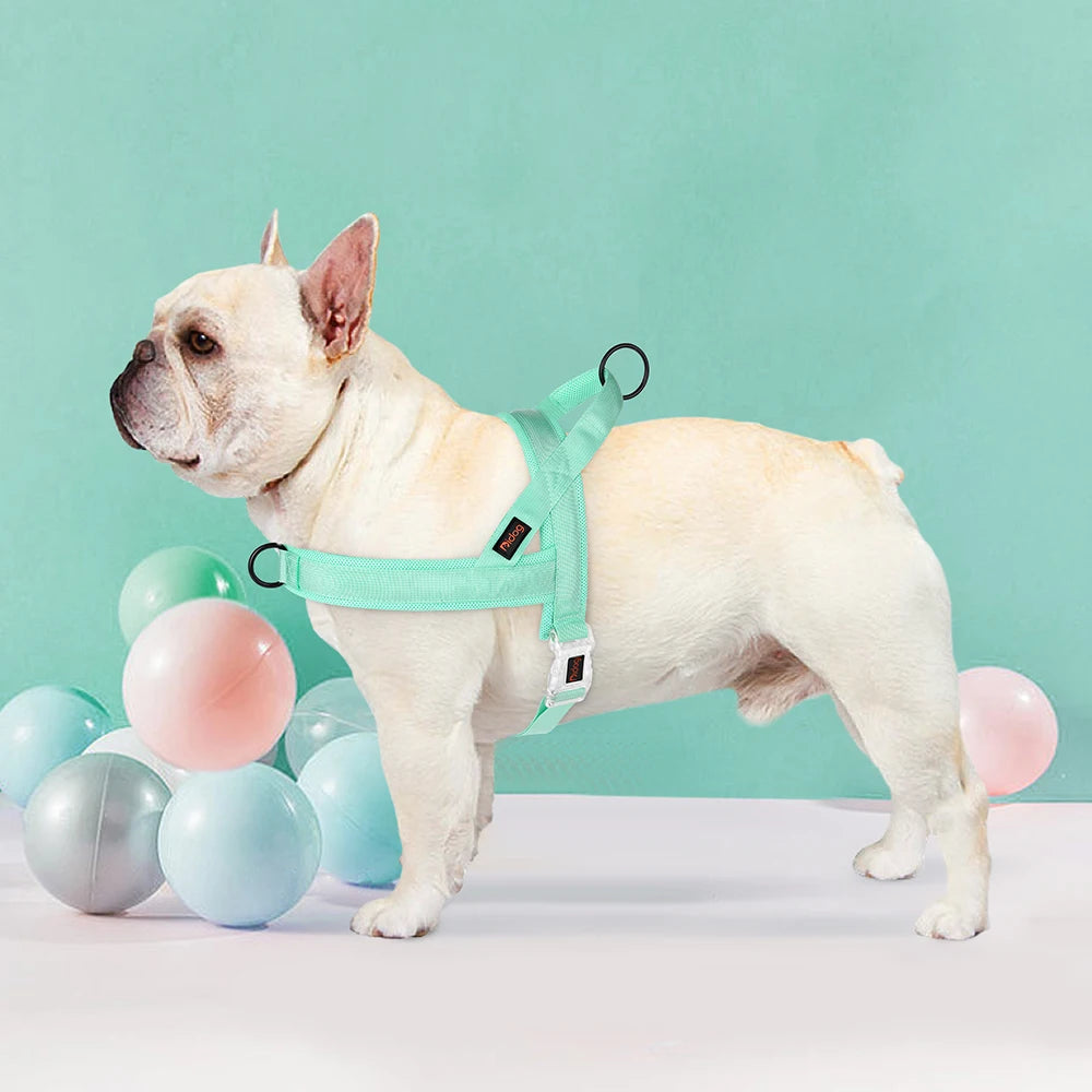 Soft No Pull Dog Harness in Pastel Color (Padded Nylon Harnesses)