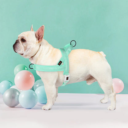 Soft No Pull Dog Harness in Pastel Color (Padded Nylon Harnesses)